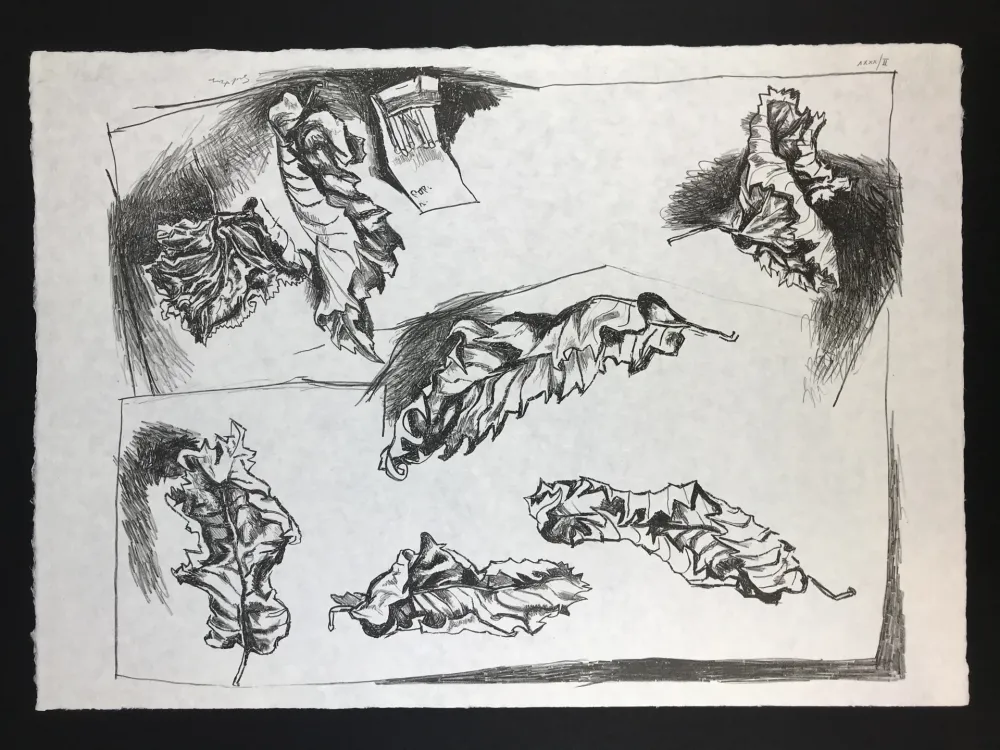 リトグラフ Guttuso - Foglie