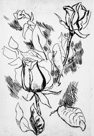 挿絵入り本 Guttuso - Gli anni delle immagini perdute