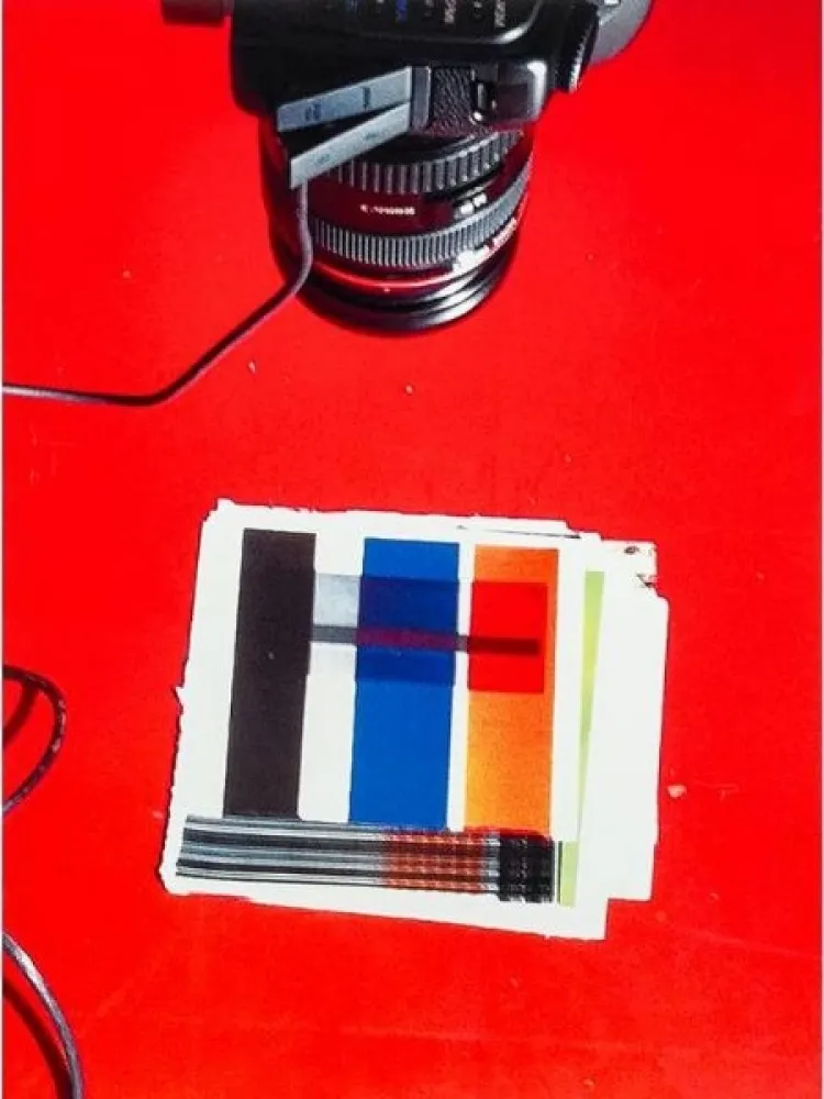 多数の Guyton - IMG_1919