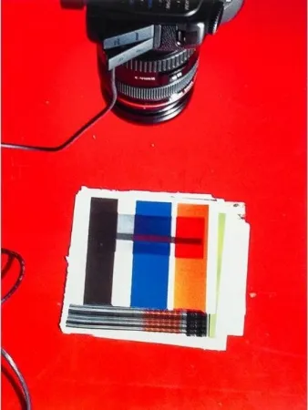 多数の Guyton - IMG_1919