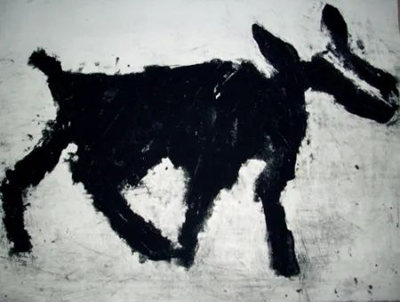 カーボランダム Haas - Animal