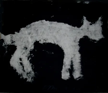 カーボランダム Haas - Animal