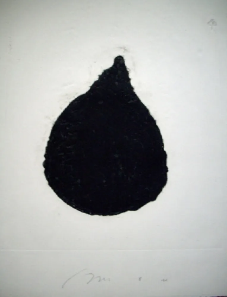 カーボランダム Haas - Figue