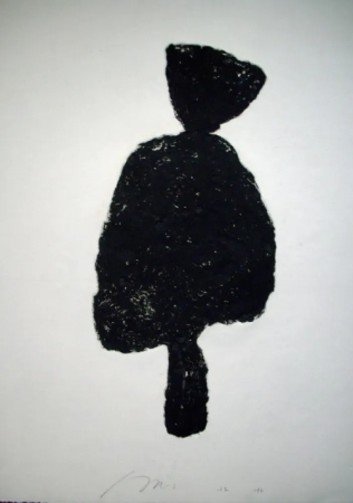 カーボランダム Haas - Visage