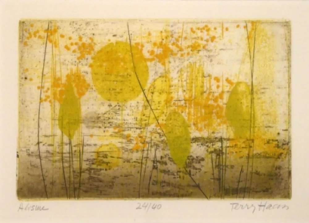 彫版 Haass - Alisme