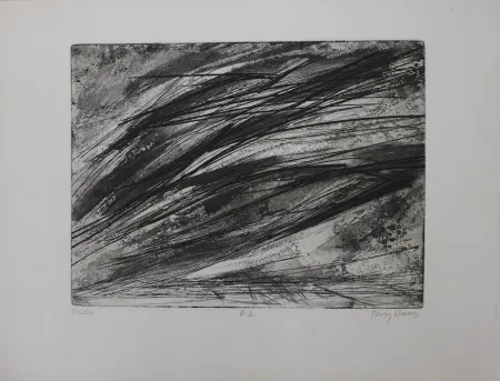 エッチング Haass - Composition