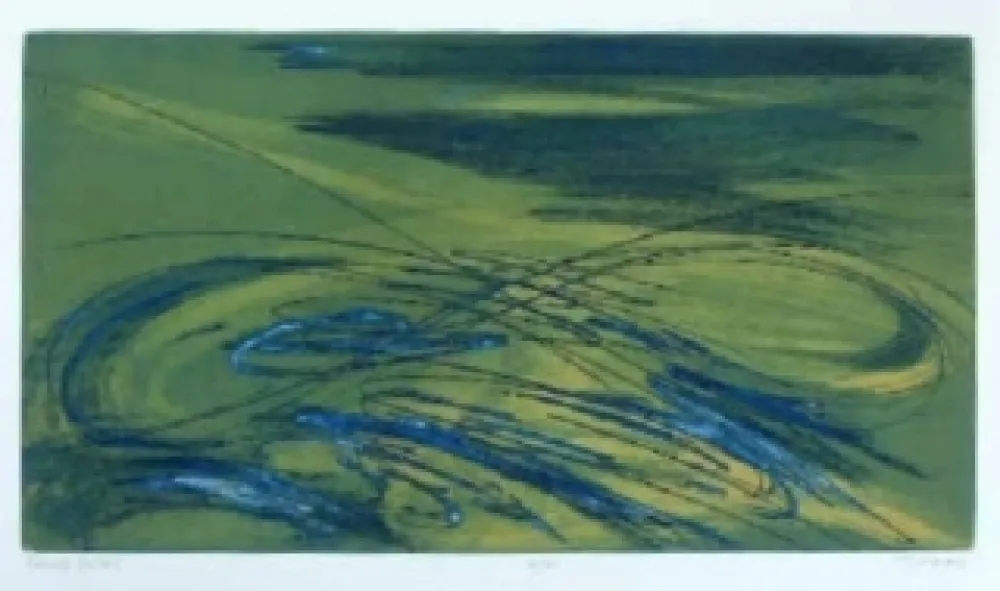 アクチアント Haass - Fluide astral