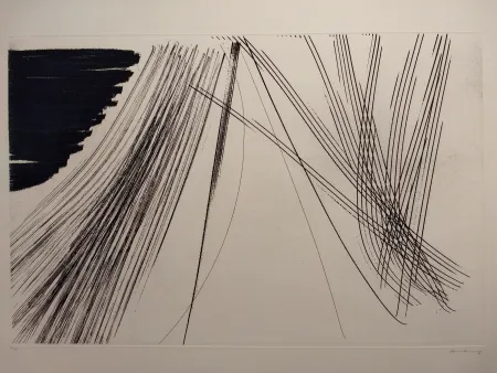 エッチング Hartung - Aguafuertes