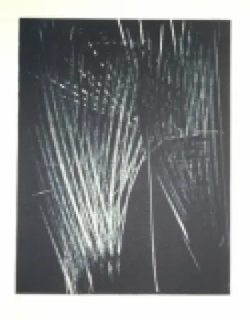 リトグラフ Hartung - AL 5