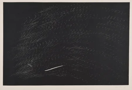 リトグラフ Hartung - Composición