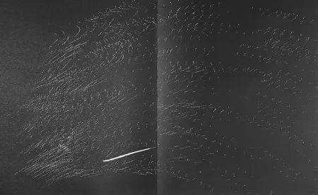 リトグラフ Hartung - Farandole