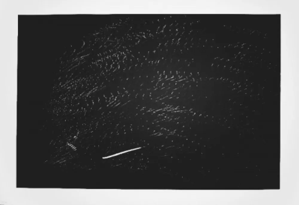 リトグラフ Hartung - Farandole 15