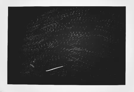 リトグラフ Hartung - Farandole 15