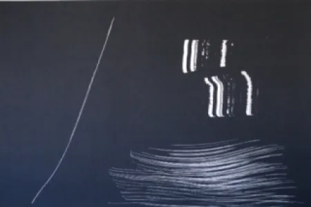 リトグラフ Hartung - Farandole 9