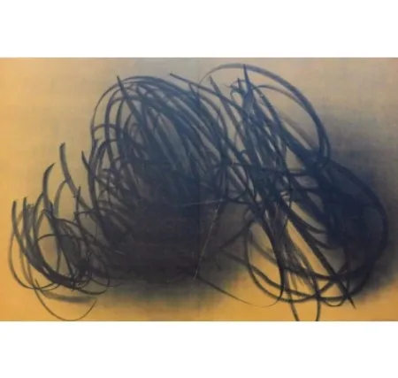 リトグラフ Hartung - Farandole E