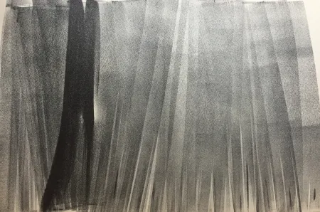 リトグラフ Hartung - Farandole I