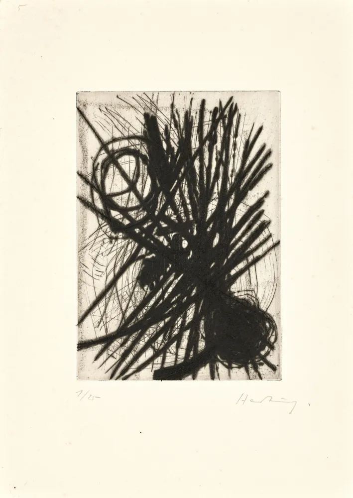 ポイントーセッシュ Hartung - G011