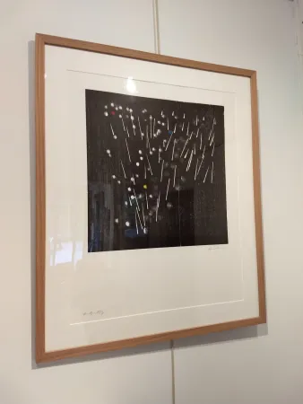 リトグラフ Hartung - H13