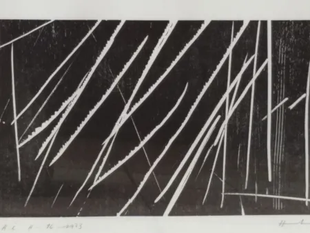 リトグラフ Hartung - H16