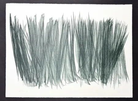 リトグラフ Hartung - Hans Hartung (1904 - 1989) - L 106 - Lithograph on BFK Rives paper - 1963