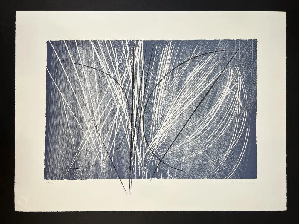 多数の Hartung - L 1971-2 