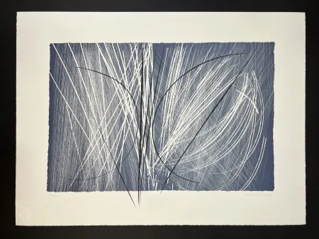 多数の Hartung - L 1971-2 