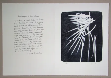 リトグラフ Hartung - L 1976-27