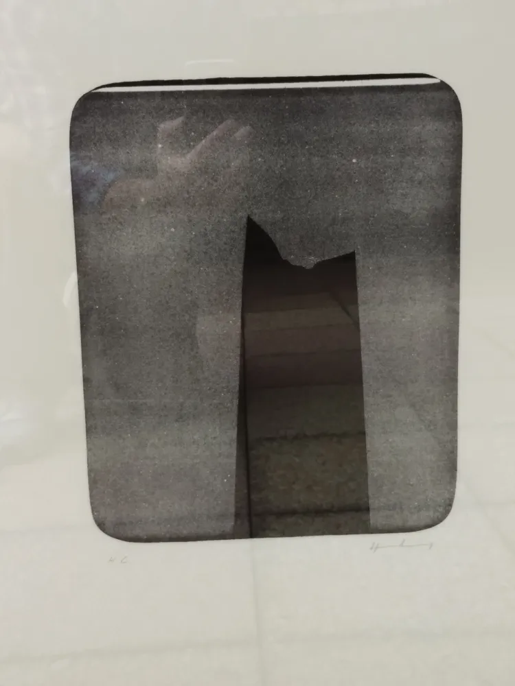 リトグラフ Hartung - L20a