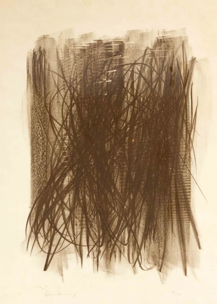 技術的なありません Hartung - L92