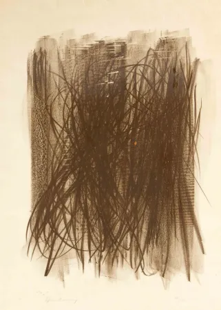 技術的なありません Hartung - L92