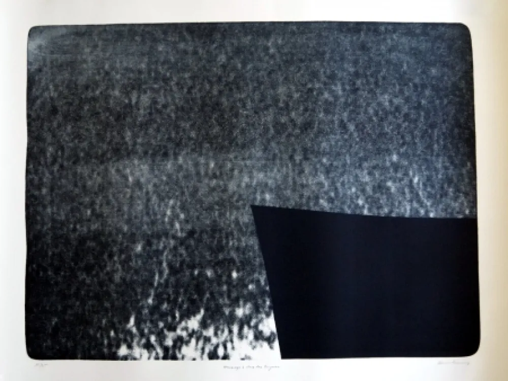 リトグラフ Hartung - S/T