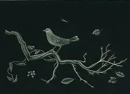 メゾチント彫法 Hasegawa - Oiseau sur racine (1960)