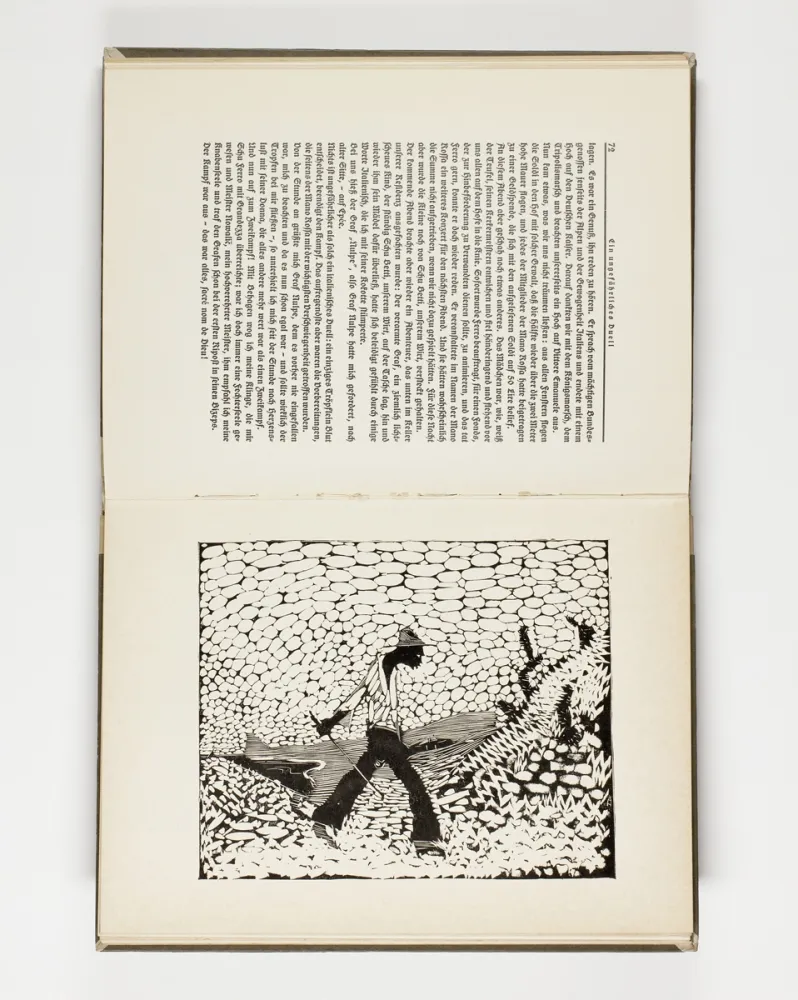 挿絵入り本 Hasemann - Himmel und Hölle auf der Landstraße