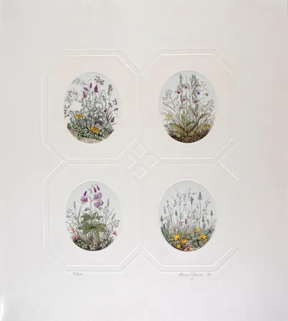 エッチング Hauck - Les Fleurs - Flowers