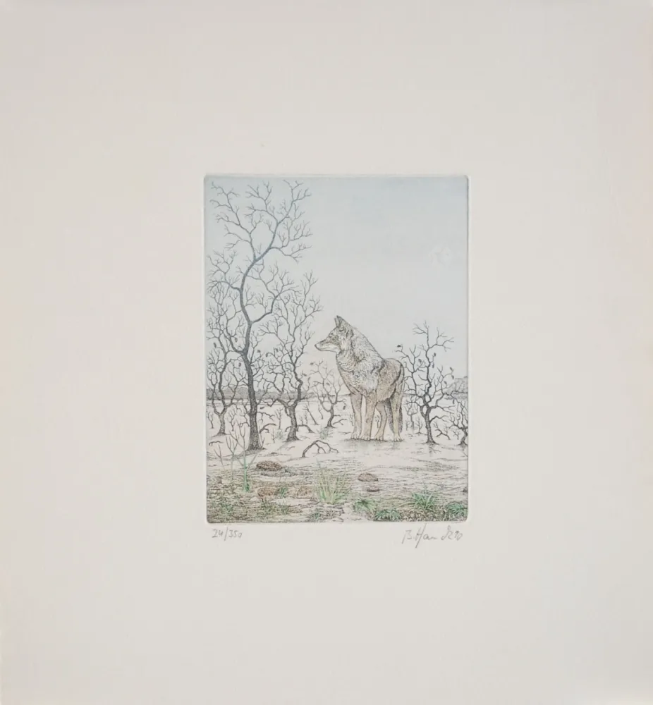 エッチング Hauck - Loup - Wolf