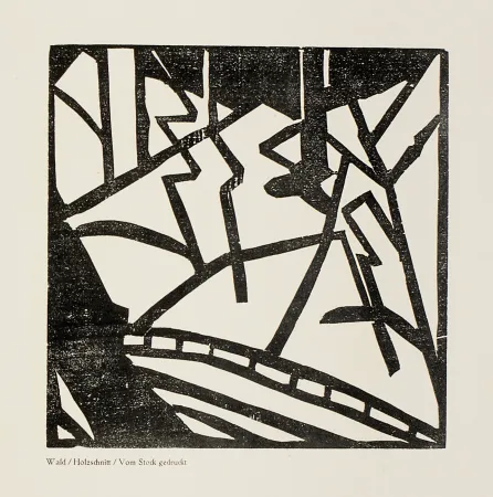 木版 Heemskerck,  - Sturm-Bilderbuch VII 