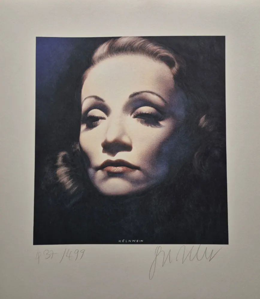 多数の Helnwein - Marlene Dietrich