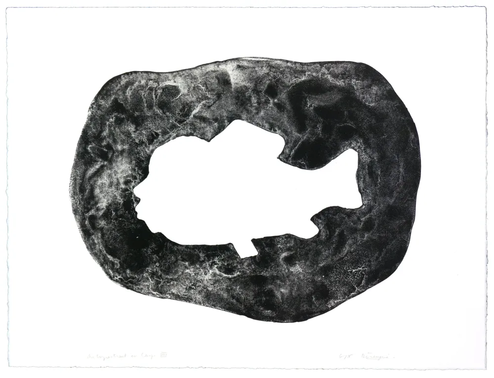 リトグラフ Henin - Auportrait en carpe VIII