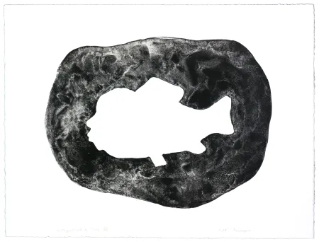 リトグラフ Henin - Auportrait en carpe VIII