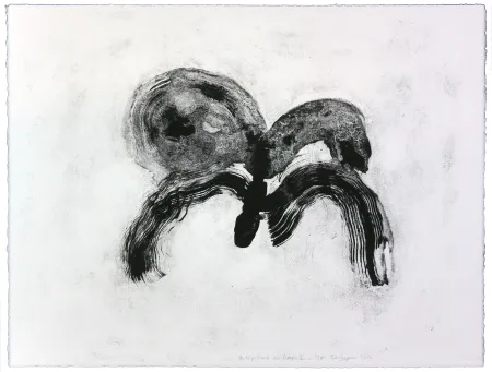 リトグラフ Henin - Auportrait en carpe X