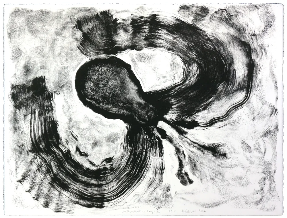 リトグラフ Henin - Auportrait en carpe XI