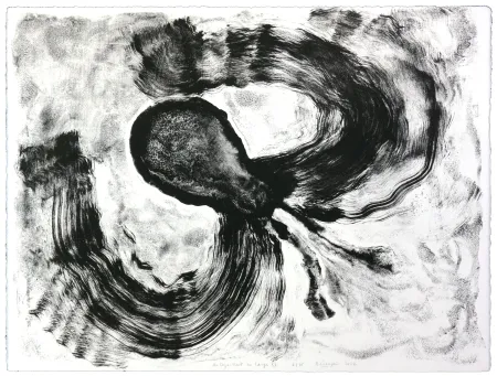 リトグラフ Henin - Auportrait en carpe XI