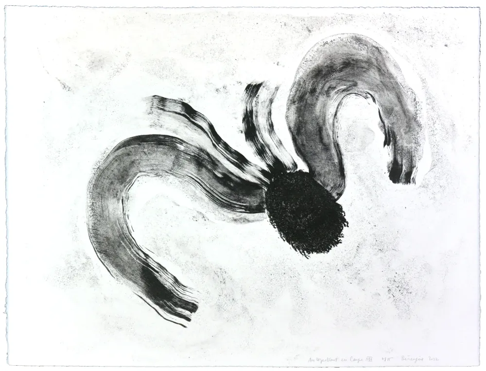 リトグラフ Henin - Auportrait en carpe XII