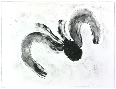 リトグラフ Henin - Auportrait en carpe XII