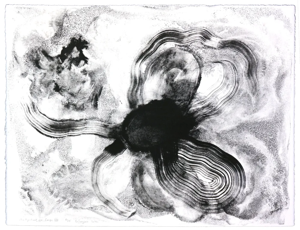 リトグラフ Henin - Auportrait en carpe XIII