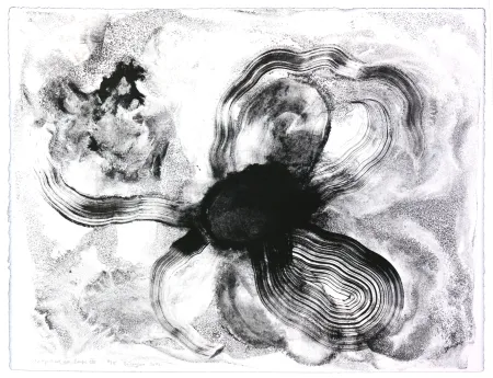 リトグラフ Henin - Auportrait en carpe XIII