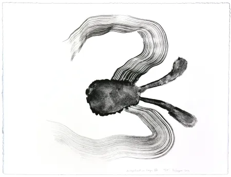 リトグラフ Henin - Auportrait en carpe XIV