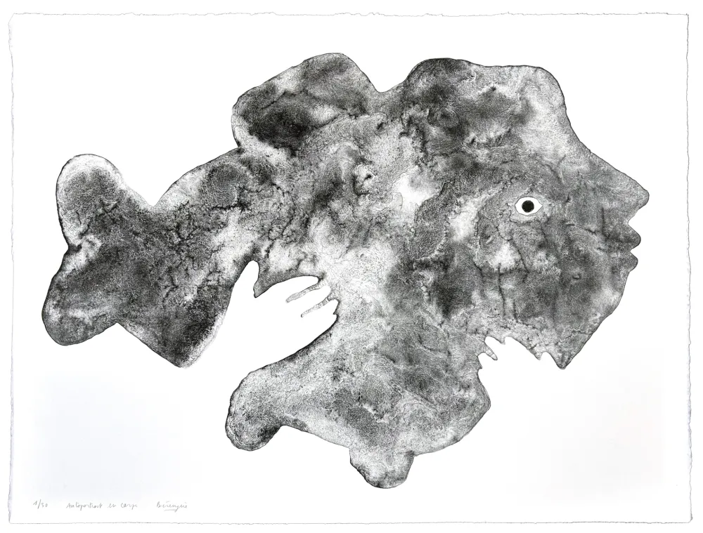 リトグラフ Henin - Autoportrait en Carpe