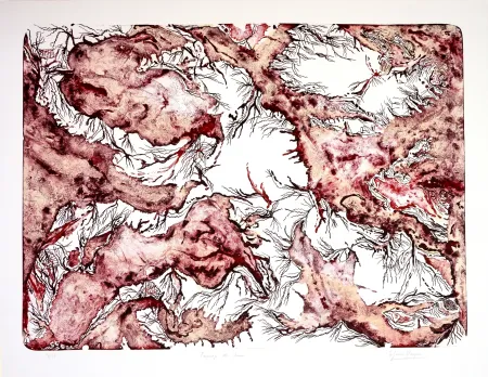 リトグラフ Henriquez - Paysage