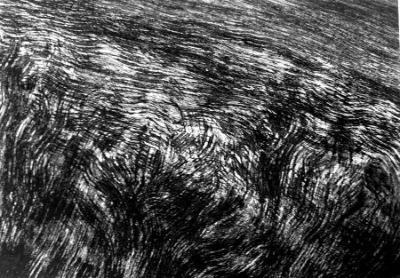 彫版 Henry - De bruits d'un vent à jamais